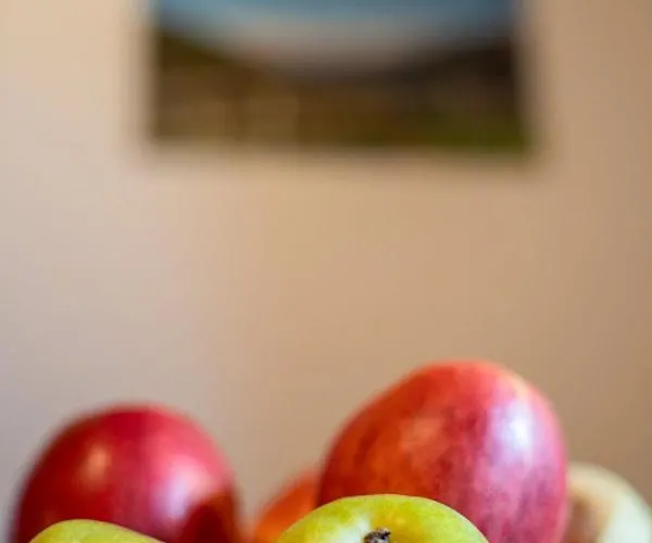 Erna By Interhome 公寓 卡普尔